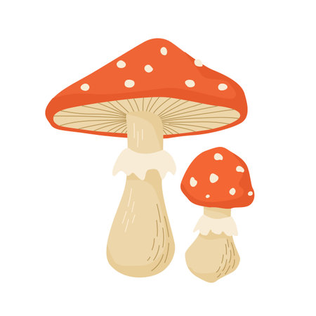 Amanita mushroom vector illustration. Poisonous mushrooms in forestsのイラスト素材