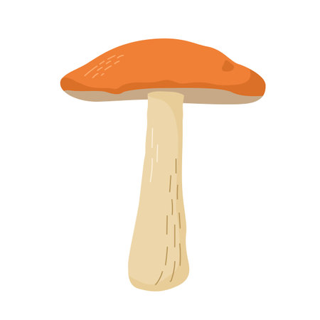 Aspen mushroom vector illustration. Edible mushrooms in forestsのイラスト素材