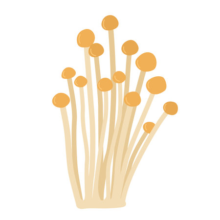 Amanita fungus vector illustration. Poisonous mushrooms in forestsのイラスト素材