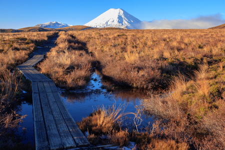Walkway at Tongariro National Park, New Zealandの写真素材