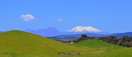 Green hills and volcanoes, New Zealandの写真素材