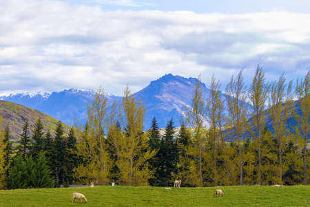 New Zealand, South Island landscape near Queenstown