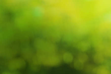 Green yellow abstract bokeh blurred background