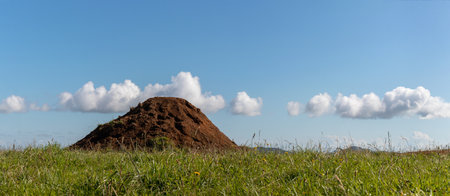 Top soil pile on green meadow and blue sky backgroundの写真素材