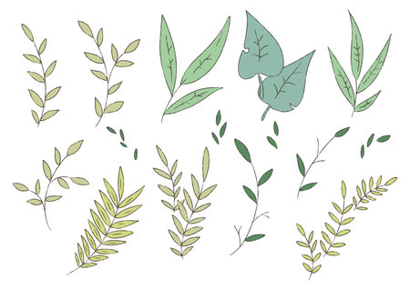 Plant branches and leaves for posters, posters, postcards, banners and more.の写真素材