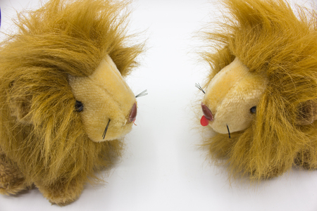 fluffy dolls lions facing each other on a white background.の写真素材