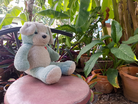 Teddy bears sitting on a red chair in the garden.の写真素材