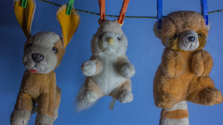 Dolly animals are hung with a clothespin. On a blue backgroundの写真素材