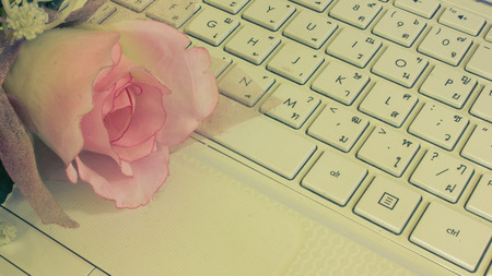 Pink flowers on the keyboard of laptops.の写真素材