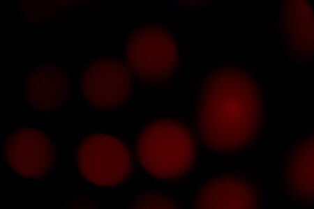 Abstract light bokeh background.