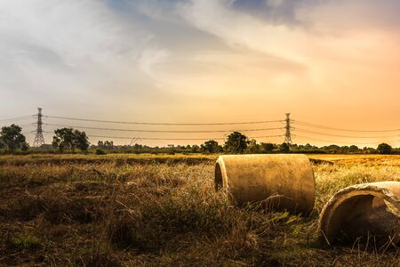 Landscape of Meadow with concrete pipe and sky during sunset in summer.の写真素材