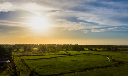 Landscape of rice field and sky during sunset in summer,の写真素材