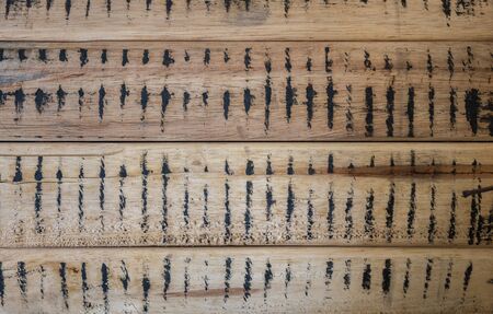 Wood pattern and wood texture background.