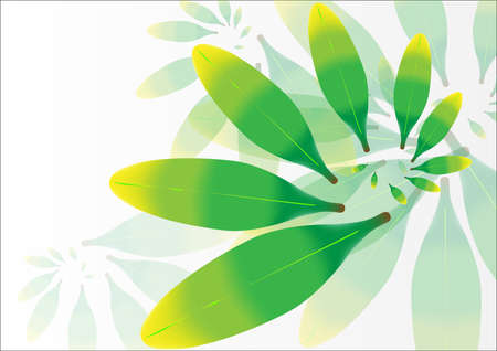 Green leaves on white background vector design for background.のイラスト素材