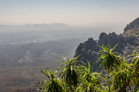 Landscape nature of mountain and trees with forest and small village in mist on sunshine background.の写真素材