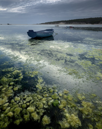 fishing boat in the sea with algae on the shore of the beachの写真素材