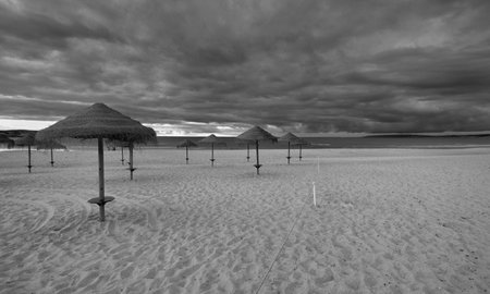 Black and white image of umbrellas on the beach at sunset.の写真素材