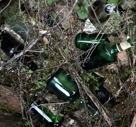 garbage in the forest, close up of a group of bottlesの写真素材