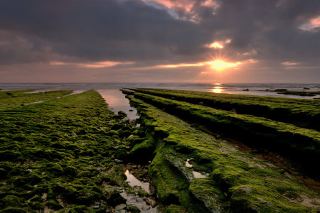 Sunset over the sea with green algae on the rocks at low tide