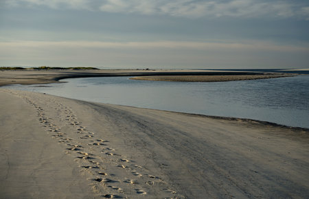 Footprints in the sand on the beach at low tide in the evening, troia peninsula, setubal, Portugalの写真素材