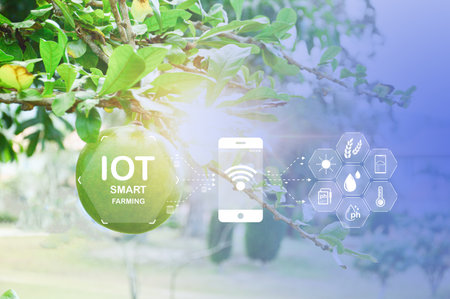 Concept, use of the smart farmer system came to help Analysis of modern agricultureの写真素材