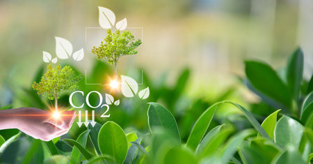 Concept to reduce global warming, increase green area clean air worldの写真素材