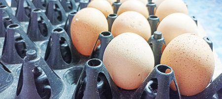 separated eggs images because notice that the skin is not beautifulの写真素材