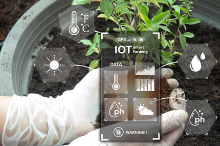 The concept of new farming or smart farming, agricultural technologyの写真素材