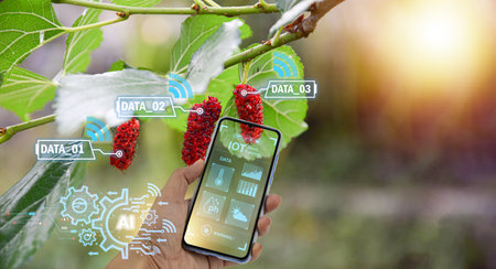 The concept of applying technology, artificial intelligence and IoT to use in agriculture to analyze and increase productivityの写真素材