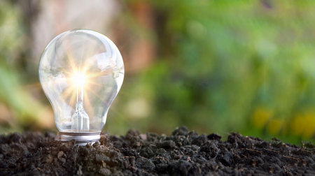 Ideas, business recovery, innovation, brainstorming, inspiration and problem solving ideas. light bulb on the groundの写真素材