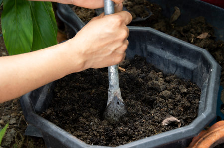 Farmers shovel the soil and prepare the soil for planting.の写真素材