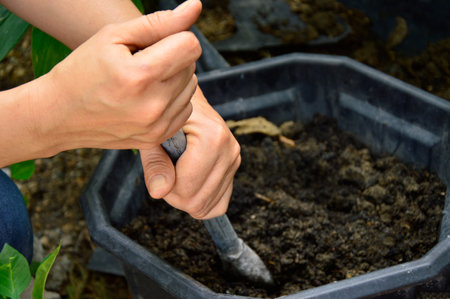 Farmers shovel the soil and prepare the soil for planting.の写真素材