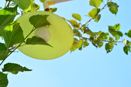 green vintage lampの写真素材