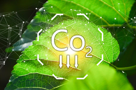 The concept of jointly planting trees for sustainable development goals Companies or businesses and organizations that care about the environment and ecology in green companiesの写真素材