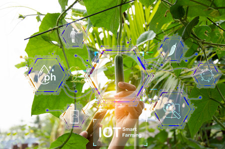 The concept of using AI and smart farming.の写真素材