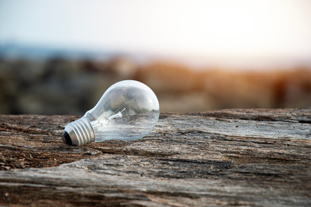A light bulb is placed on a wooden board on the beach.