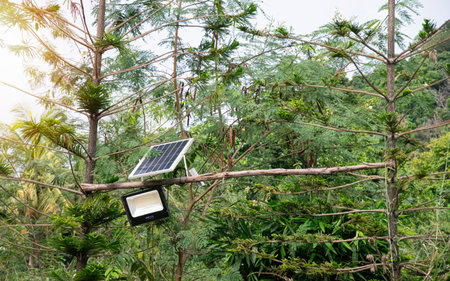 Solar cell lamps use clean energy from the sun.