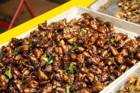 Fried insects are a popular street food in Thailand.の写真素材