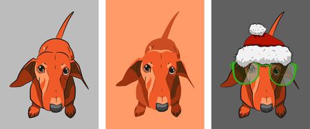 A red-haired dachshund sits on the floor and looks at us. Realistic drawing of a dog. Red-haired dog with a contour, without a contour and wearing a Santa Claus hat and sunglasses. Easy to edit.のイラスト素材