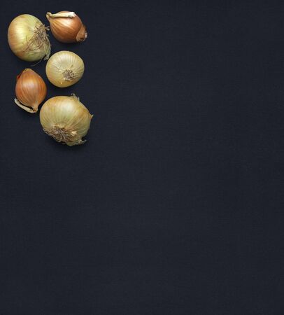A few onions on a background of natural black textured pastel paper. Space for text, banner, backgroundの写真素材