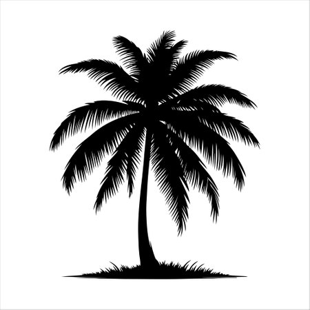 Silhouette of palm tree on white background. Vector illustration.のイラスト素材