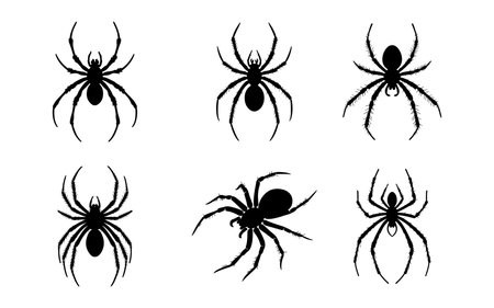 Set of black spiders silhouettes isolated on white background. Vector illustration.のイラスト素材