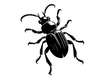 Black beetle isolated on white background. Vector illustration of beetle in cartoon style.のイラスト素材