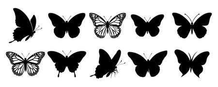 butterflies black silhouettes isolated on white background. vector illustrationのイラスト素材
