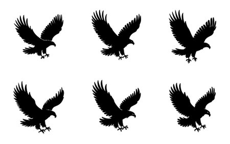 Set of eagle silhouettes. Vector illustration in black on white background.のイラスト素材