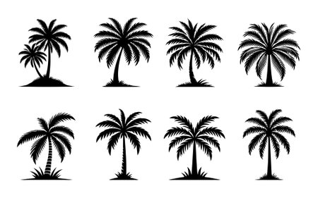 Palm tree silhouettes set isolated on white background. Vector illustrationのイラスト素材