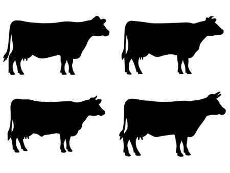 Cow silhouette vector set on white backgroundのイラスト素材