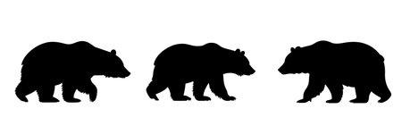 bear silhouette vector set on white backgroundのイラスト素材