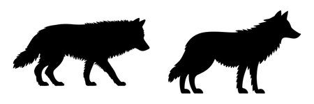 Wolf silhouette vector set on white  backgroundのイラスト素材