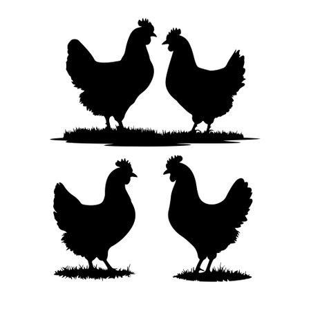 chickens silhouettes isolated on white background. Vector illustration.のイラスト素材